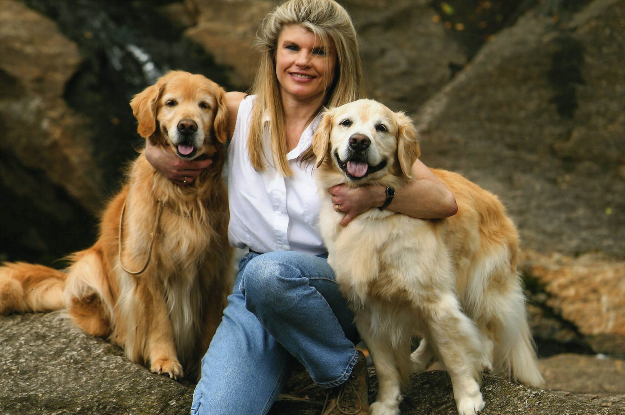 k-jen golden retrievers north carolina slide 2