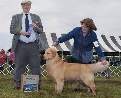 CH K-Jen's N Charms Tis My Favorite Cappuccino Blend cappy winners dog new champion