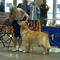 stacked spartanburg kc