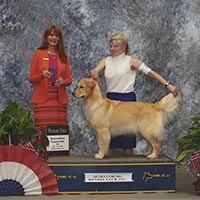 wb spartanburg kc 2018