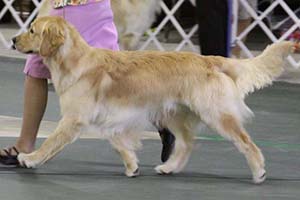 Leslie showing wilbur